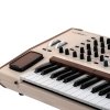 ARTURIA POLYBRUTE 12 syntezator polifoniczny